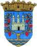 Ville / village / commune / Noizay - Blason de Noizay.