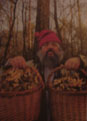 Jean-Jack Martin, chasseur de champignons