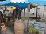 Christophe Vigneau - Propritaire - Vigneron - Culture biodynamique - La pratique de la bio-dynamie.