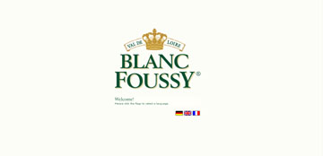 Les Grandes Caves Saint Roch - Blanc Foussy 