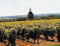 Les cteaux du canton de Vouvray.