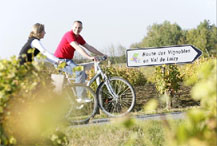 Promenades dans le vignoble vouvrillon.