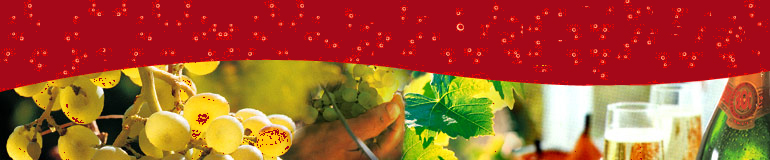 Vignoble de Vouvray. French Vouvray wines in Loire Valley. Vouvray wine, vouvray wines, vouvray, vouvray petillant, vouvray sec, vouvray demi-sec, vouvray moelleux, Vouvray, ville de vouvray, cuvee, fete, vin de mariage, mariage, vin de fete, vin d'honneur, ville de Vouvray, commune de vouvray, commune de Vouvray, region de vouvray, region de Vouvray, methode traditionnelle, tours, french, french, wine, tasting, wine tasting, white wine, french wine, europe, 37, 37000, centre, ville de tours, touraine, indre et loire, chateau, chateaux, loire, loire valley, val de loire, france, vin, vins, vin de vouvray, vin de Vouvray, vins de vouvray, vins de Vouvray, blanc, vin blanc, vins blancs, vin blanc de vouvray, vin blanc de Vouvray, vins blancs de vouvray, vins blancs de Vouvray, petillant, peteux, mousseux, petillant de vouvray, petillant de Vouvray, petillants de vouvray, petillants de Vouvray, vin blanc petillant, vins blancs petillants, vin blanc petillant de vouvray, vin blanc petillant de Vouvray, vins blancs petillants de vouvray, vins blancs petillants de Vouvray, pressurage, museleuse, boucheuse, cheval, vendanges a l'ancienne, tradition, traditionnel, traditionnelles, vendanges traditionnelles, outils anciens, outils, ancien, outil, viticulture, vigne, vigneron, vignerons, viticulteur, viticulteurs, confrerie, confrerie de la chantepleure, chantepleure, vins de loire, loire, Loire, appellation controlee, appellation d'origine controlee, appellation, aoc, AOC, vouvray aoc, cepage, chenin, vendange, vendanges, vinification,doux, liquoreux, bouteille, bouteille de vin, cru, crus, grand cru, grands crus, bouchon, alcool, alcohol, cep, etiquette, etiquettes, cave, caves, tuffeau, millesime, millesimes, vouvray tranquille, sec, vin blanc sec, vins blancs secs, vin blanc sec de vouvray, vin blanc sec de Vouvray, vins blancs sec de vouvray, demi sec, vin blanc demi sec, vins blancs demi secs, vin blanc demi sec de vouvray, vin blanc demi sec de Vouvray, vins blancs demi sec de vouvray, demi-sec, vin blanc demi-sec, vins blancs demi-secs, vin blanc demi-sec de vouvray, vin blanc demi-sec de Vouvray, vins blancs demi-sec de vouvray, moelleux, vin blanc moelleux, vins blancs moelleux, vin blanc moelleux de vouvray, vin blanc moelleux de Vouvray, vins blancs moelleux de vouvray, brut, vin blanc brut, vins blancs bruts, vin blanc brut de vouvray, vin blanc brut de Vouvray, vins blancs bruts de vouvray, cuvee, cuvee speciale, methode traditionnelle, tours, restaurant, restaurants, restaurant à Tours, restaurants dans Tours, Bars, bars à Tours, hôtels, Chambre d'hôtes, vallée de la Loire, Loire Valley wine, Cave, côteaux.