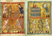 Illustrations du travail de la vigne dans un manuscrit du XIIe siècle