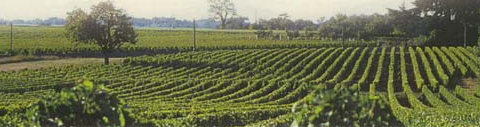 Producteurs de Vouvray.